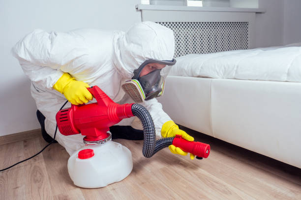 Best Exterminator Services  in Woodward, IA