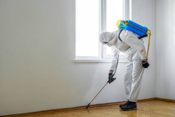 Best Pest Control for Restaurants  in Woodward, IA